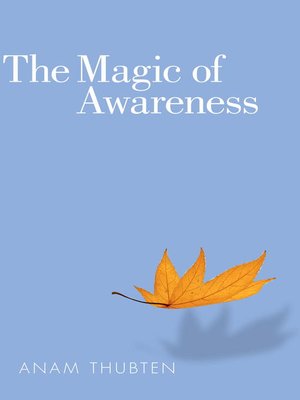 cover image of The Magic of Awareness